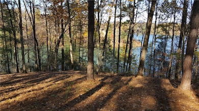 917 Rippling Water Way, Salem, SC 29676 - photo 7