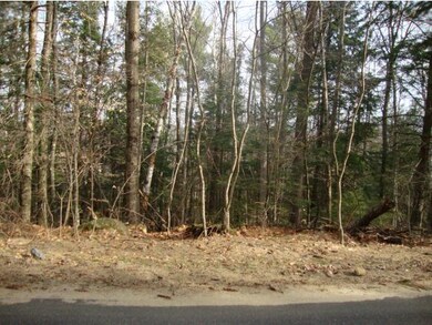 5-1-1 Hodgeman Hill Rd, Campton, NH 03223 - photo 4