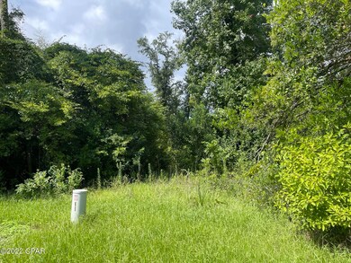 0 Carters Mill Rd unit 767174, Marianna, FL 32446 - photo 2