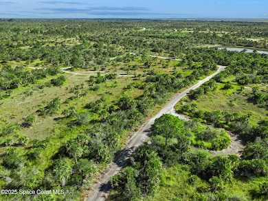 1313 Magic St SW, Palm Bay, FL 32908 - photo 5