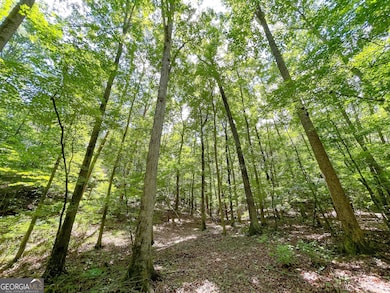 111 + - Acres Off Slate Mine Rd, Fairmount, GA 30139 - photo 3