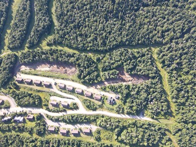 DJI_0319