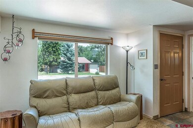 525 San Juan Dr, Durango, CO 81301 - photo 3