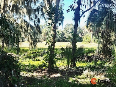 11C Cocos Plumosa Dr, Eustis, FL 32726 - photo 2