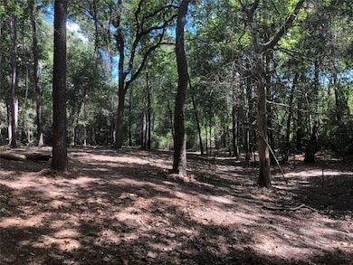 14 Pelican St, Magnolia, TX 77355 - photo 7