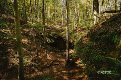 0000 Little Kyger Rd, Cheshire, OH 45620 - photo 5