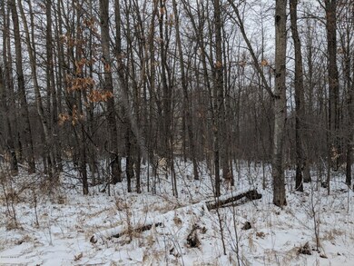 IMG_20180306_090411