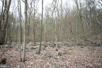 0 Tree Crops Ln unit 1000685031, Round Hill, VA 20141 - photo 7