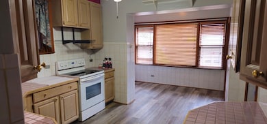 4925 N Kentucky Ave, Chicago, IL 60630 - photo 3