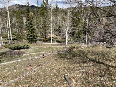 Great spot for cabin or trailer