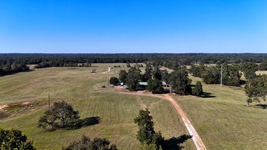10769 County Road 3519, Murchison, TX 75778 - photo 5