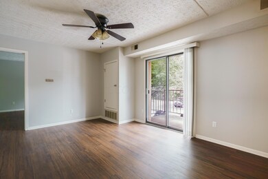 3339 Karl Rd #207-124