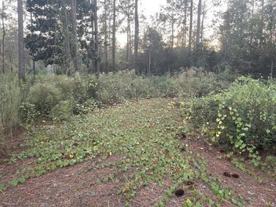 lot view 2