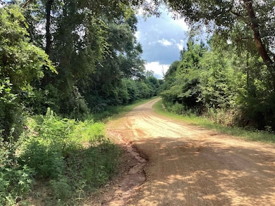 06 Davis Cir, Wing, AL 36483 - photo 2