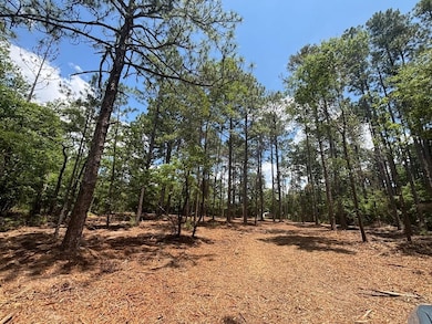 5301 Mt Pleasant Church Rd, Macon, GA 31216 - photo 7