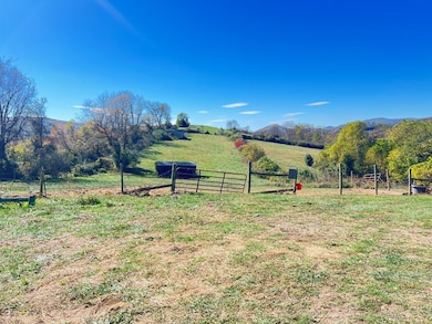 2616 Pope Rd, Ivanhoe, VA 24350 - photo 4