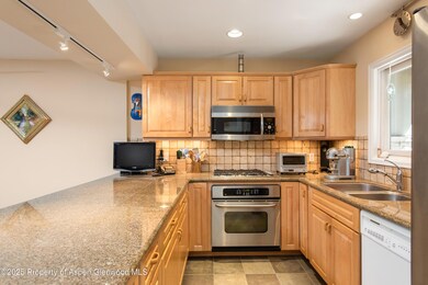 100 N 8th St unit 26, Aspen, CO 81611 - photo 7