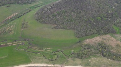 tbd Cty13, Pleasant Hill Township, MN 55943 - photo 5