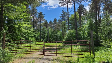 13167 Mc Coy Rd, Natural Bridge, NY 13665 - photo 6