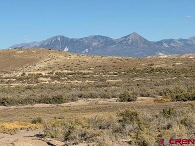 Parcel 10 Hidden Mesa Rd, Austin, CO 81410 - photo 2