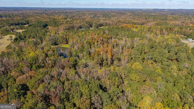 0 Roy Morgan Rd unit 17.44 ACRES, Carrollton, GA 30116 - photo 6