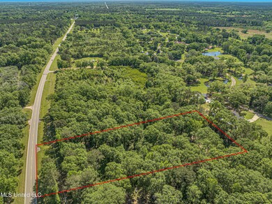 2838 Highway 43 S, Picayune, MS 39466 - photo 5