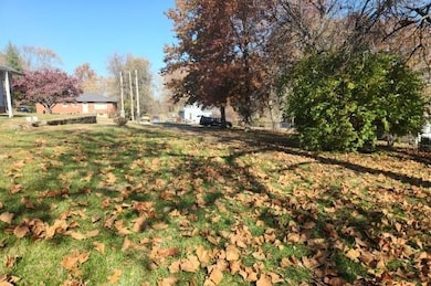 710 W Mason St, Odessa, MO 64076 - photo 2