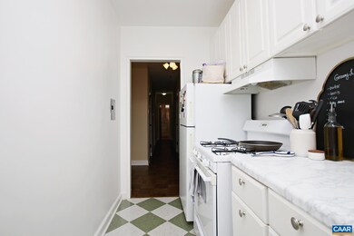 32 University Cir unit 303, Charlottesville, VA 22903 - photo 5