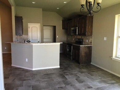 4211 Jasper Ln, Granbury, TX 76049 - photo 5