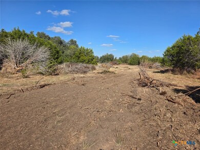 TBD Avila Ln, Briggs, TX 78608 - photo 5