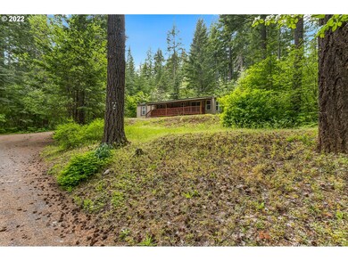 51 Carr Rd, Trout Lake, WA 98650 - photo 2