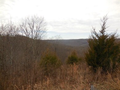 10030 Devils Den Rd, Winslow, AR 72959 - photo 4