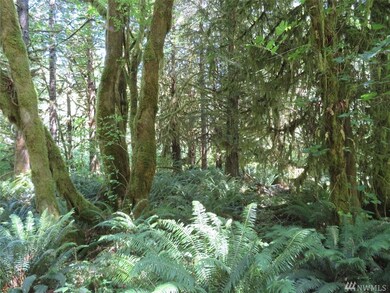 0 Deer Park Ln, Toledo, WA 98591 - photo 6