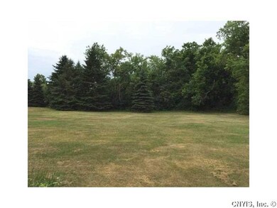 Backyard.