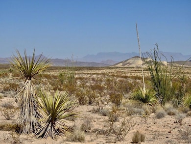 2637 Martin Cutacross Rd, Terlingua, TX 79852 - photo 2