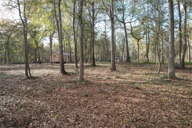 30602 Kate Dr, Magnolia, TX 77355 - photo 3