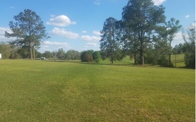 8913 NW 38th Ct, Lake Butler, FL 32054 - photo 3