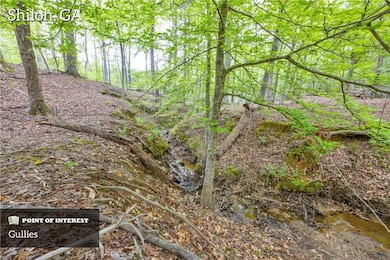 2450 Chestnut Grove Rd, Shiloh, GA 31826 - photo 6