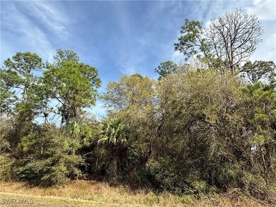 View of nature