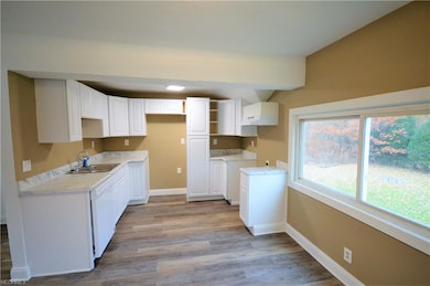 Updated kitchen with new flooring, cabinets, and d