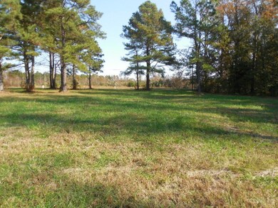Lot 5 Pleasant Hill Rd, Rocky Mount, NC 27801 - photo 5