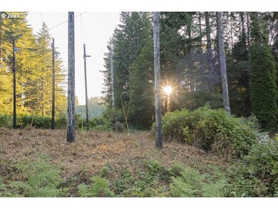 0 Elk City Rd, Toledo, OR 97391 - photo 7