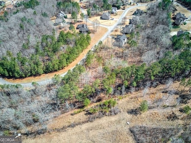 263 Principal Meridian Dr, Dallas, GA 30132 - photo 3