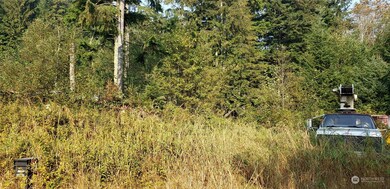 209 XX Lake Riley Rd, Arlington, WA 98223 - photo 6