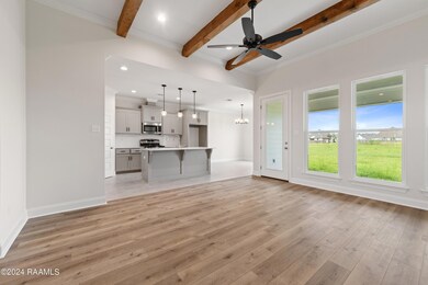 220 Central Village Way, Youngsville, LA 70592 - photo 4