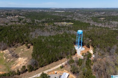 16082 House Rd, Brookwood, AL 35444 - photo 3