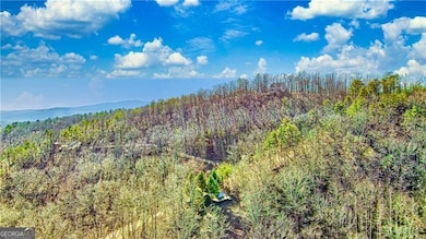 875 Trinton Dr, Ranger, GA 30734 - photo 2