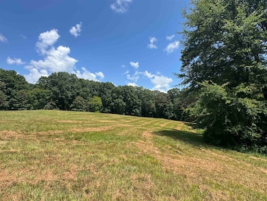 15ACRES Monk House Rd, Somerville, TN 38068 - photo 5