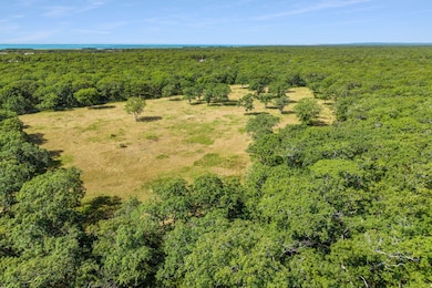 3 Jacob's Neck Rd unit 2, Edgartown, MA 02539 - photo 5