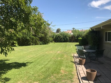 Back Yard View